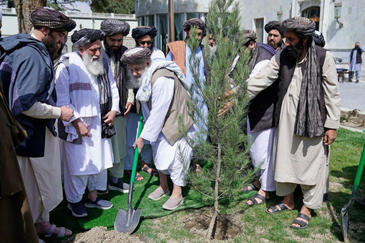 Prime Minister of Afghanistan’s Islamic Emirate Marks Spring with Tree Planting at the Arg